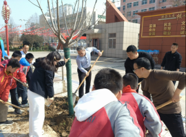 武功县育才路小学开展“跃马扬鞭•护绿有范”师生植树活动 ... ...