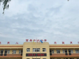 兴平市西吴中心校扎实开展 防溺水 “十个一” 活动 筑牢生命安全防线 ...