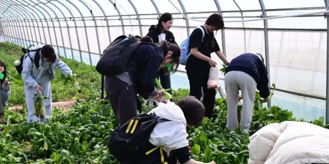 咸阳彩虹中学南校区“校内外联动”劳动教育实践活动纪实