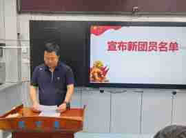秦都区二印学校举行新团员入团仪式