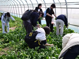 咸阳彩虹中学南校区“校内外联动”劳动教育实践活动纪实