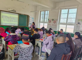 武功县游凤镇桂家营小学德智美育教学观摩主题活动